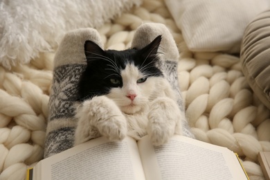 Woman holding adorable cat and open book on knitted blanket, closeup