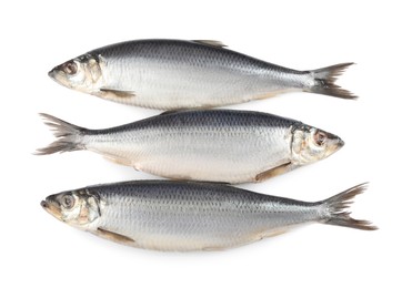 Photo of Delicious whole salted herrings isolated on white, top view