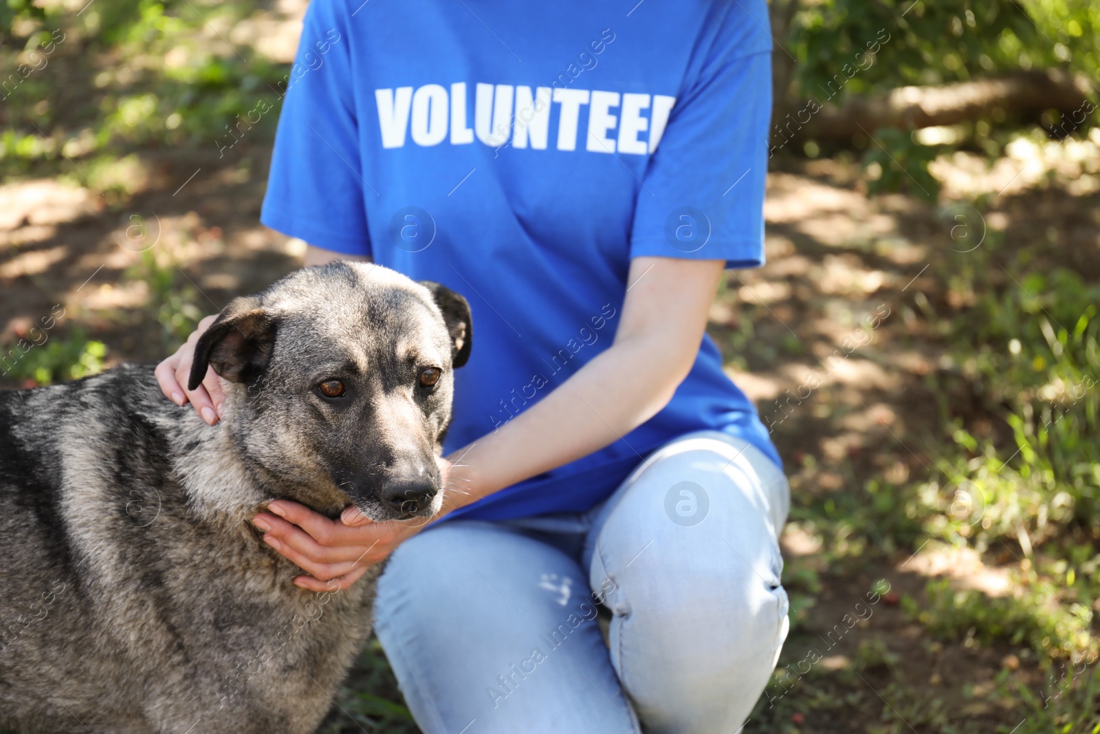 Photo of Volunteer with homeless dog in animal shelter, closeup