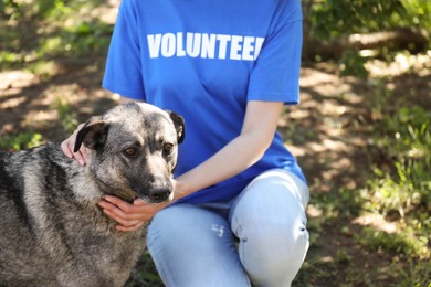 Photo of Volunteer with homeless dog in animal shelter, closeup