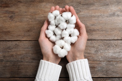 Woman holding cotton flowers on wooden background, top view