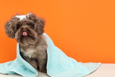 Photo of Cute Maltipoo dog with towel and foam on orange background, space for text. Lovely pet