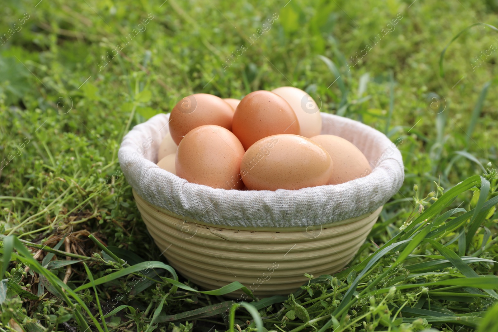 Photo of Fresh chicken eggs in basket on green grass outdoors