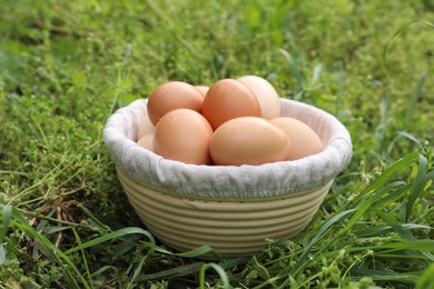 Fresh chicken eggs in basket on green grass outdoors