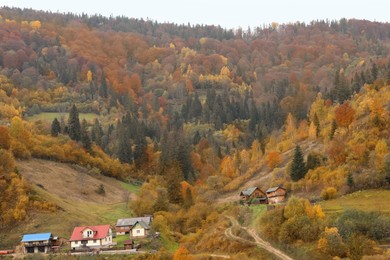 Photo of Beautiful view of forest and mountain village on autumn day