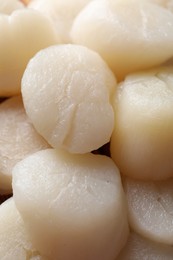 Photo of Fresh raw scallops as background, closeup view