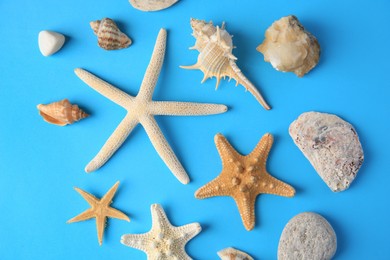 Many starfishes, stones and shells on blue background, flat lay