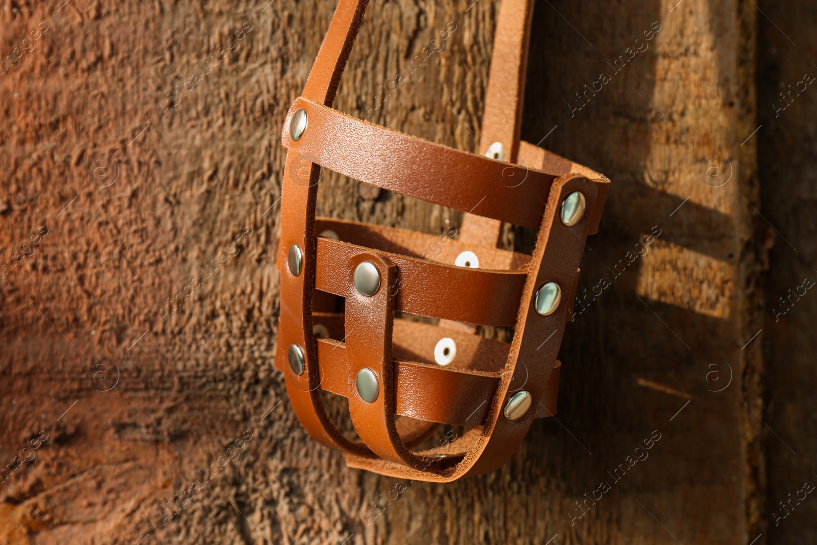 Photo of Brown dog muzzle hanging near wooden fence, closeup