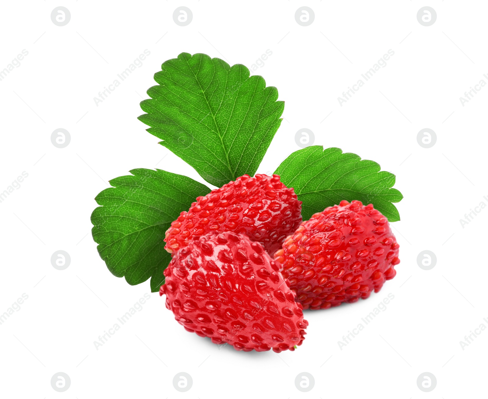 Image of Fresh ripe wild strawberries with green leaves isolated on white