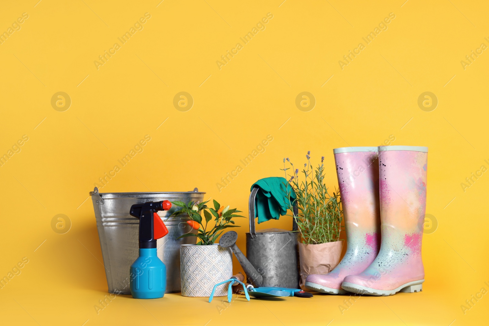 Photo of Gardening tools and houseplants on yellow background. Space for text