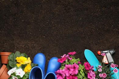 Flat lay composition with gardening tools and flowers on soil, space for text