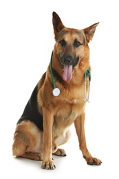 Photo of Cute dog with stethoscope as veterinarian on white background