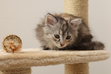 Photo of Cute fluffy kitten with toy on cat tree against light background