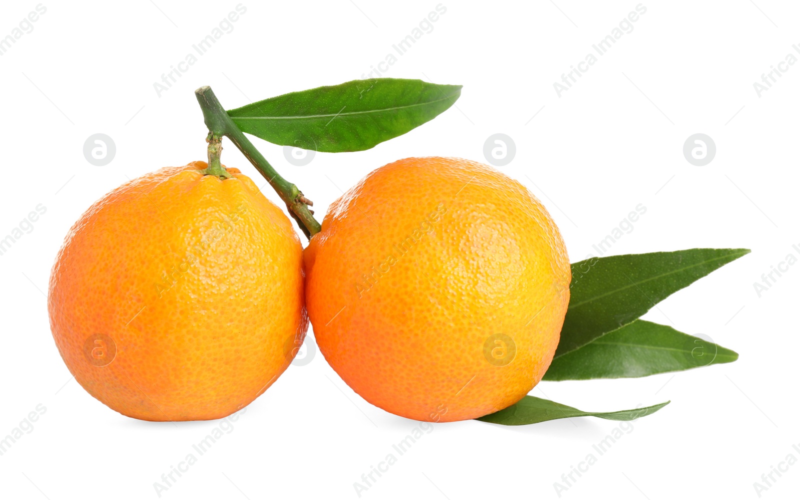 Photo of Fresh ripe juicy tangerines isolated on white