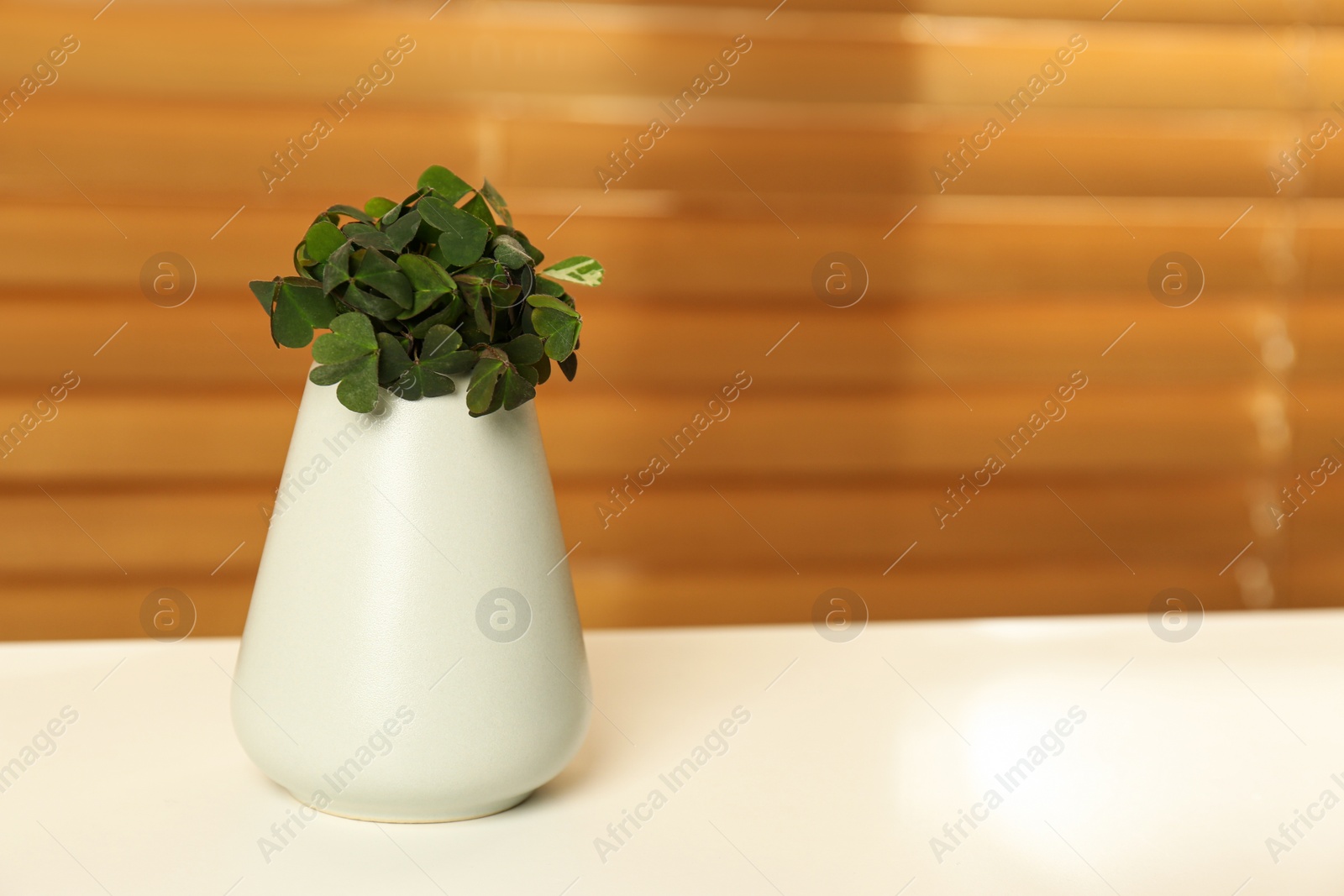 Photo of Beautiful green clover leaves in vase on white table. Space for text