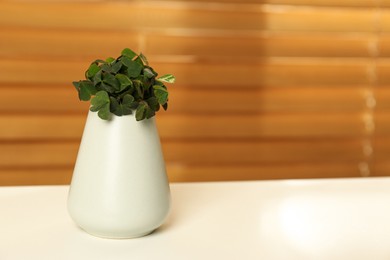 Photo of Beautiful green clover leaves in vase on white table. Space for text