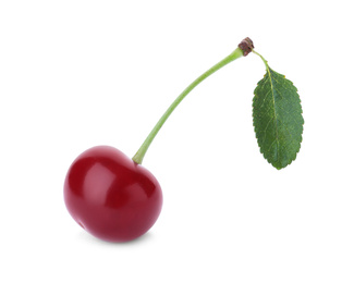 Delicious ripe sweet cherry with leaf isolated on white