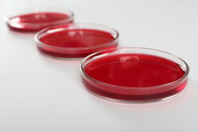 Photo of Petri dishes with red liquid on white background, closeup