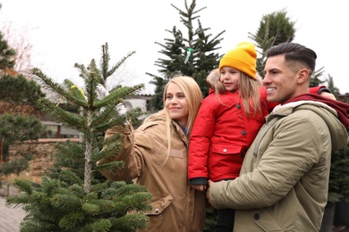 Family choosing plants at Christmas tree market