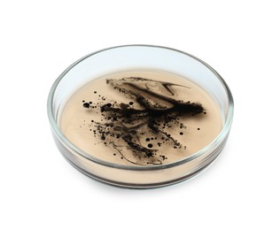 Petri dish with bacteria on white background