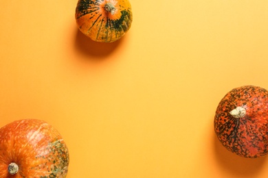 Photo of Orange pumpkins on color background, flat lay composition with space for text. Autumn holidays