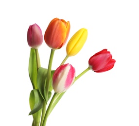 Photo of Beautiful bright tulips on white background. Spring flowers