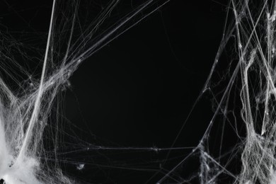 Creepy white cobweb on black background, closeup