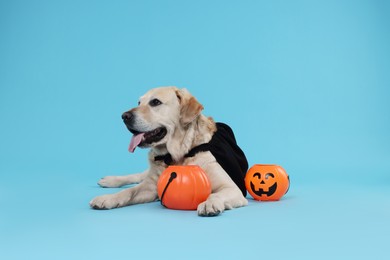 Cute Labrador Retriever dog in black cloak with Halloween buckets on light blue background