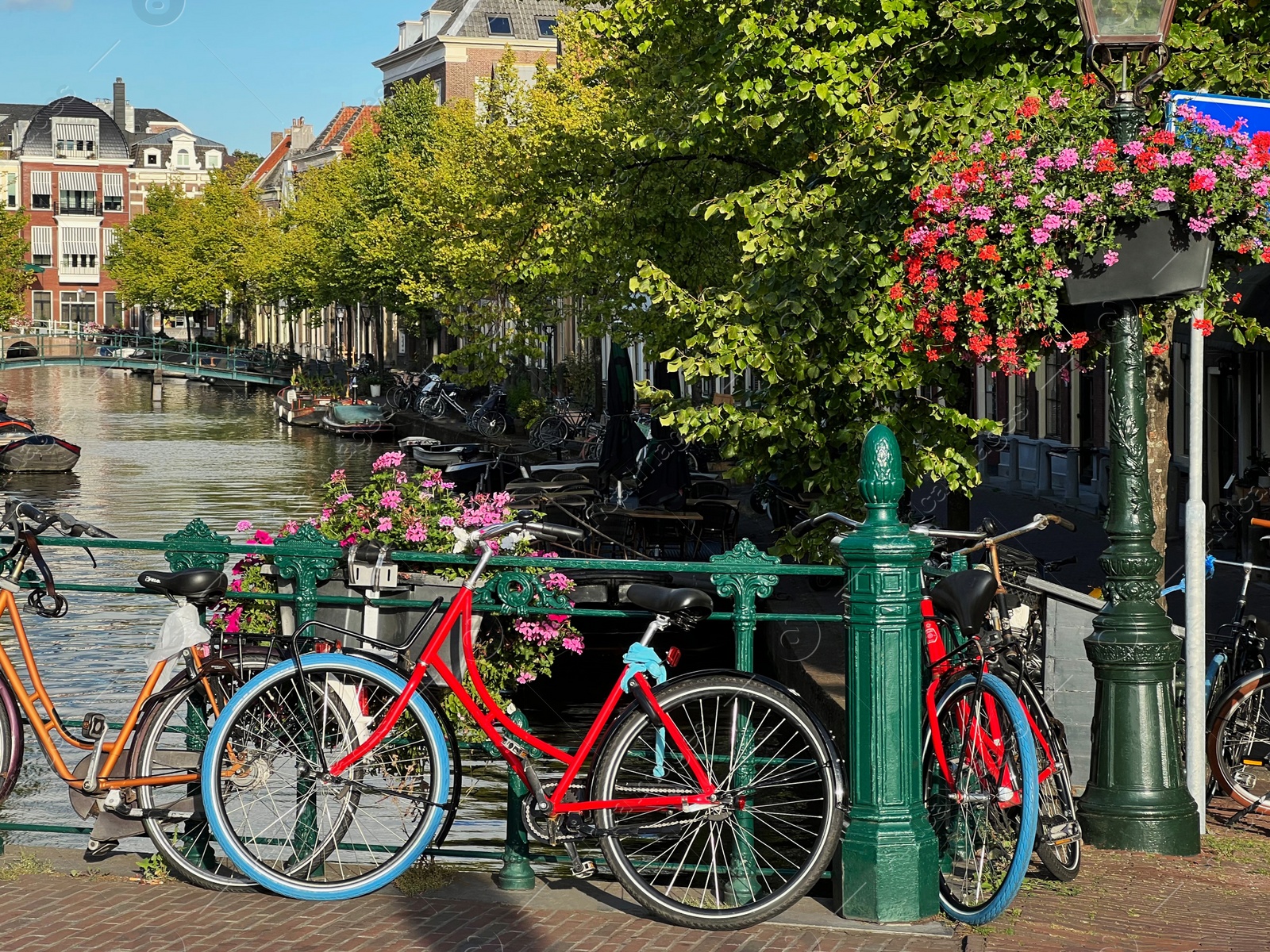 Photo of View of bicycles and beautiful plants near canal on city street