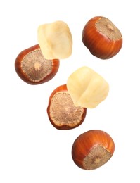 Tasty hazelnuts falling on white background. Healthy snack