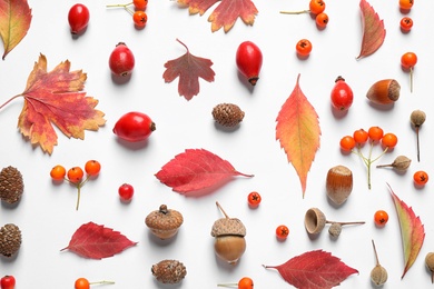 Beautiful composition with autumn leaves on white background, flat lay