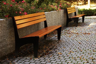 Wooden benches in beautiful park on sunny day