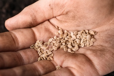 Photo of Woman holding pile of tomato seeds, closeup. Vegetable planting