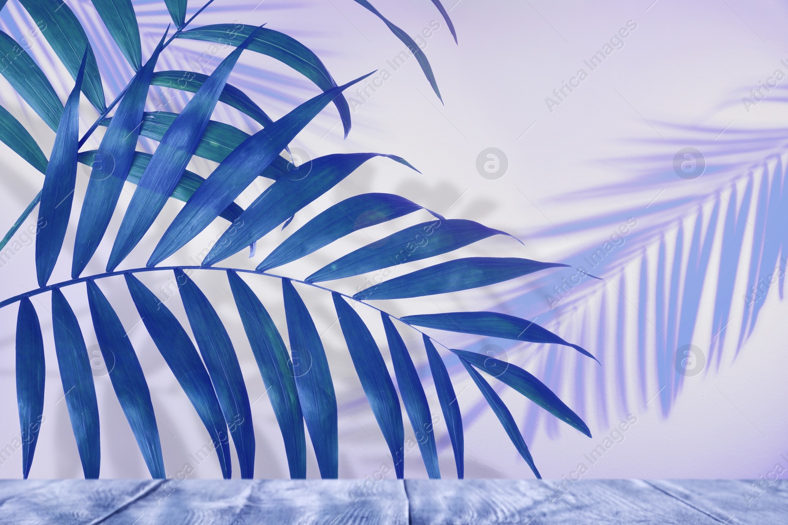 Image of Blue palm branches and wooden table against light background. Summer party