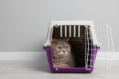 Photo of Travel with pet. Cute cat in carrier on floor near grey wall indoors, space for text