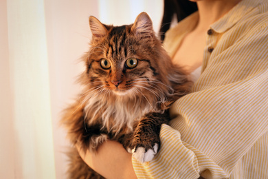 Photo of Beautiful woman with her cute cat on light background, closeup. Fluffy pet