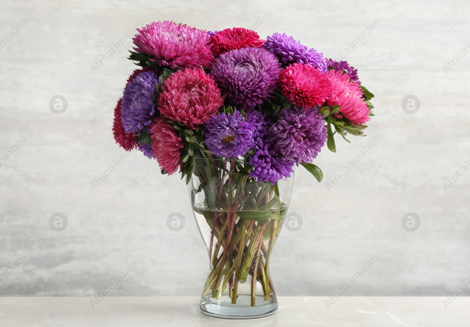 Photo of Beautiful asters in vase on table against white background. Autumn flowers