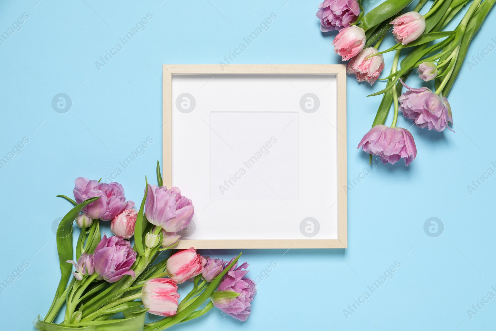 Photo of Empty photo frame and beautiful tulip flowers on light blue background, flat lay. Space for design