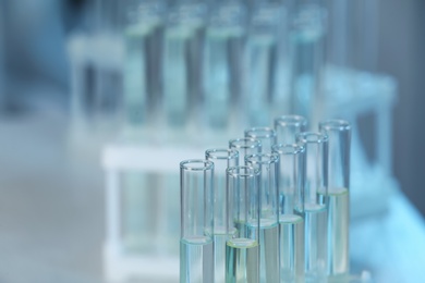 Photo of Holder with test tubes in laboratory. Chemical analysis