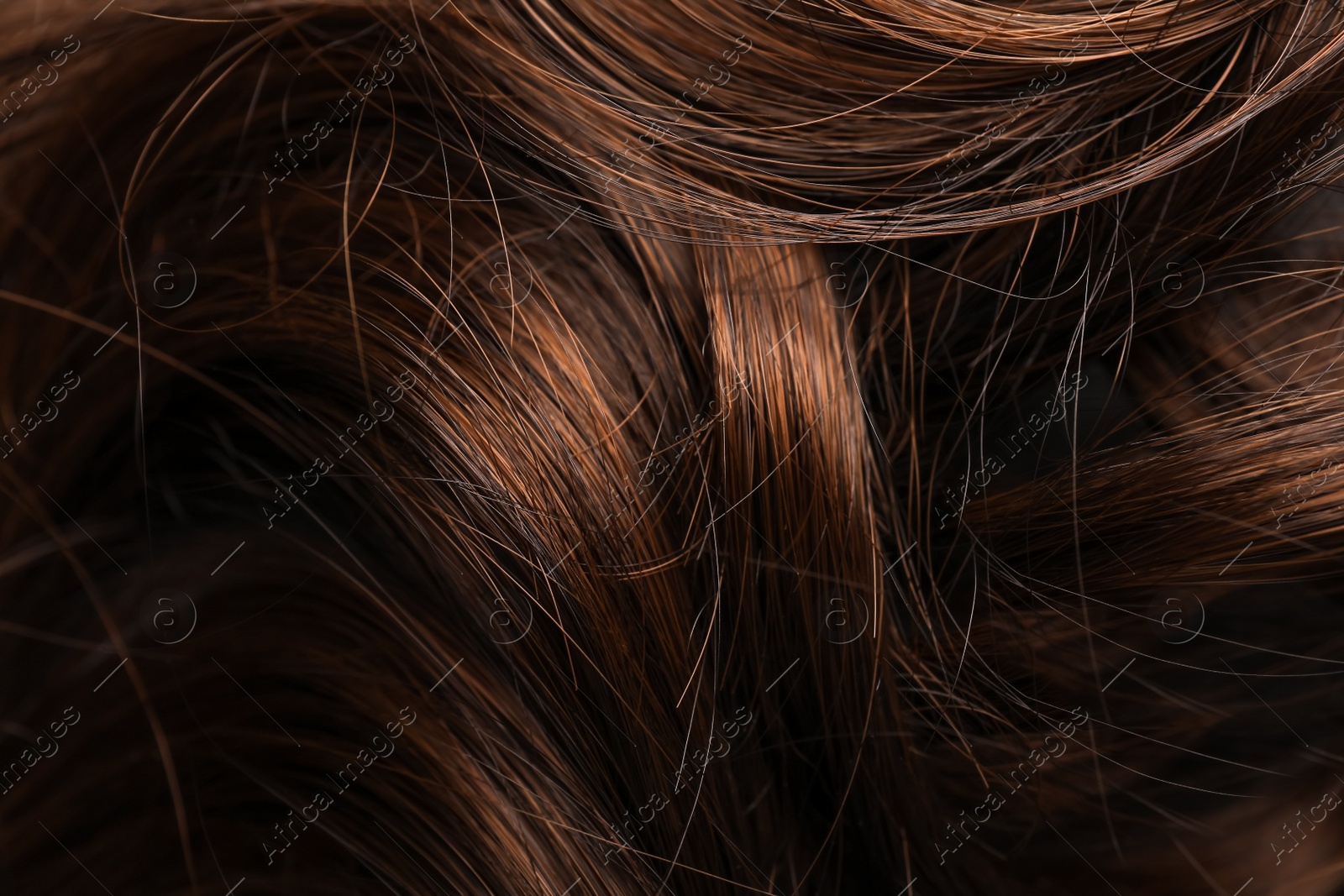 Photo of Beautiful brown hair as background, closeup view