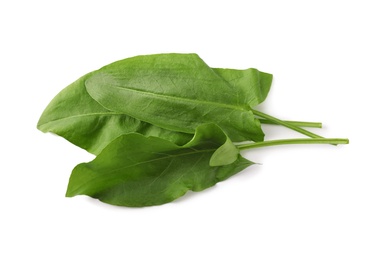 Bunch of fresh green sorrel leaves on white background, above view