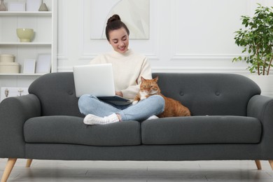 Woman working with laptop at home. Cute cat sitting on sofa near owner