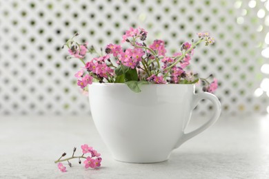 Photo of Beautiful pink forget-me-not flowers with cup on light stone table, closeup