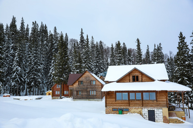 Photo of Modern cottages in snowy coniferous forest on winter day