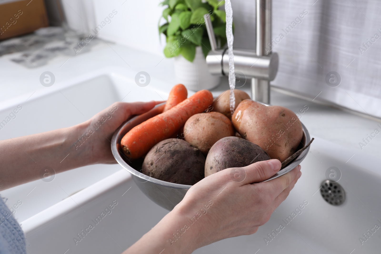 Photo of Woman washing fresh vegetables in kitchen sink, closeup. Cooking vinaigrette salad