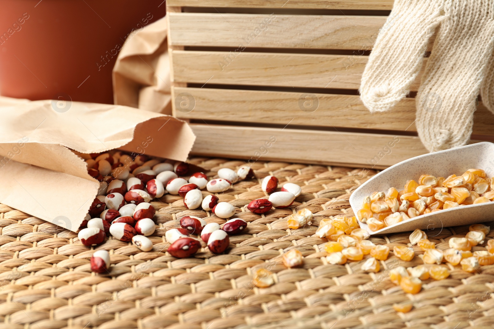 Photo of Different vegetable seeds and wooden crate on table, closeup