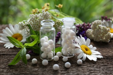 Photo of Bottles of homeopathic remedy and different plants on wooden table