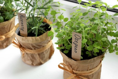 Photo of Different fresh potted herbs on windowsill indoors, closeup