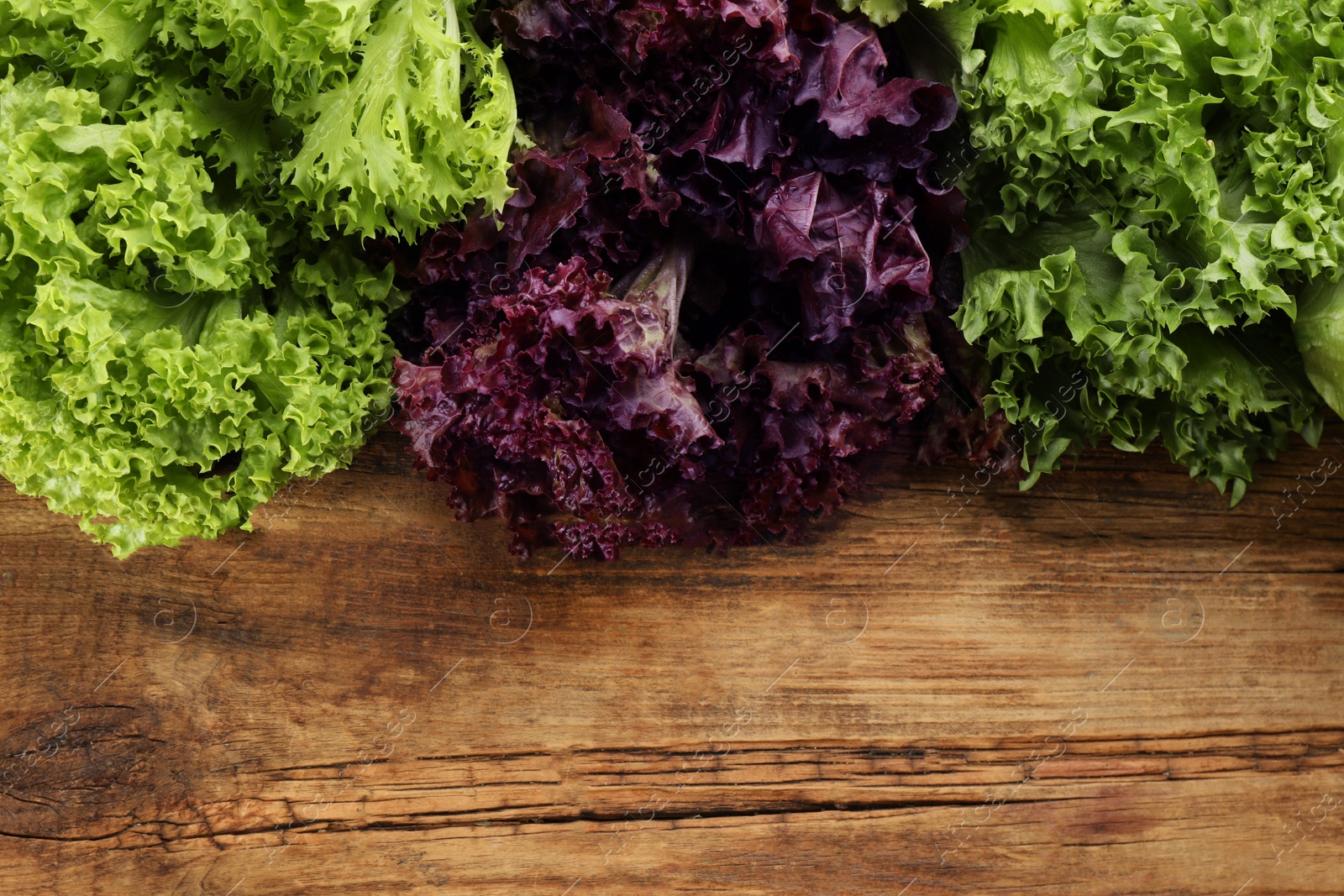 Photo of Different sorts of lettuce on wooden table, flat lay. Space for text