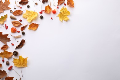 Photo of Dry autumn leaves, berries and cones on white background, flat lay. Space for text